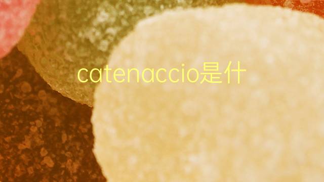 catenaccio是什么意思 catenaccio的翻译、读音、例句、中文解释