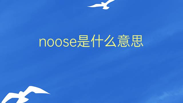 noose是什么意思 noose的翻译、读音、例句、中文解释