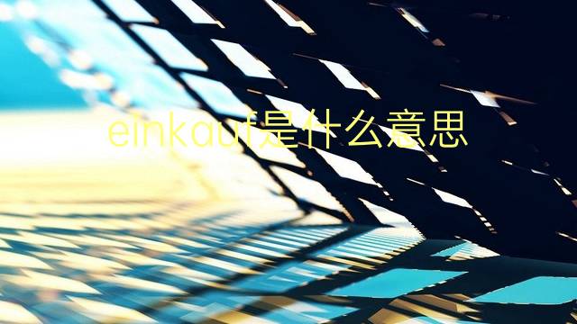 einkauf是什么意思 einkauf的翻译、读音、例句、中文解释