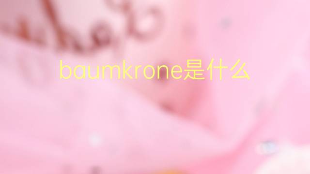 baumkrone是什么意思 baumkrone的翻译、读音、例句、中文解释