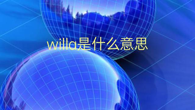 willa是什么意思 willa的翻译、读音、例句、中文解释