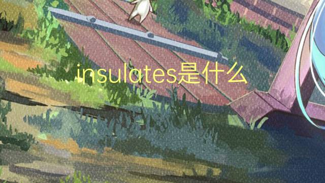 insulates是什么意思 insulates的翻译、读音、例句、中文解释