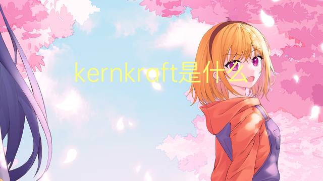 kernkraft是什么意思 kernkraft的翻译、读音、例句、中文解释