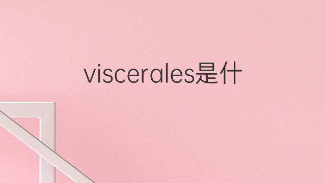 viscerales是什么意思 viscerales的翻译、读音、例句、中文解释