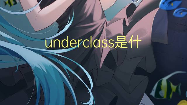 underclass是什么意思 underclass的翻译、读音、例句、中文解释