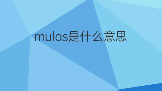 mulas是什么意思 mulas的翻译、读音、例句、中文解释