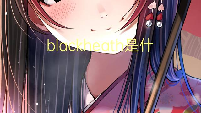 blackheath是什么意思 blackheath的翻译、读音、例句、中文解释