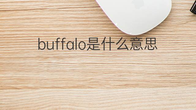 buffalo是什么意思 buffalo的翻译、读音、例句、中文解释