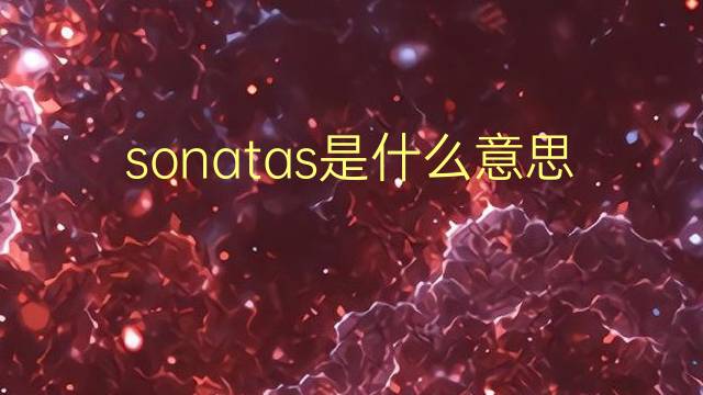 sonatas是什么意思 sonatas的翻译、读音、例句、中文解释