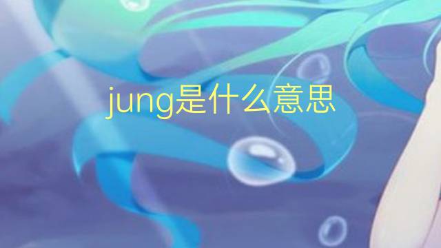 jung是什么意思 jung的翻译、读音、例句、中文解释