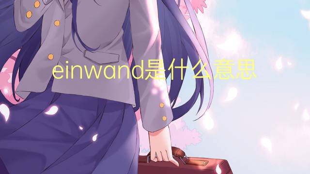 einwand是什么意思 einwand的翻译、读音、例句、中文解释