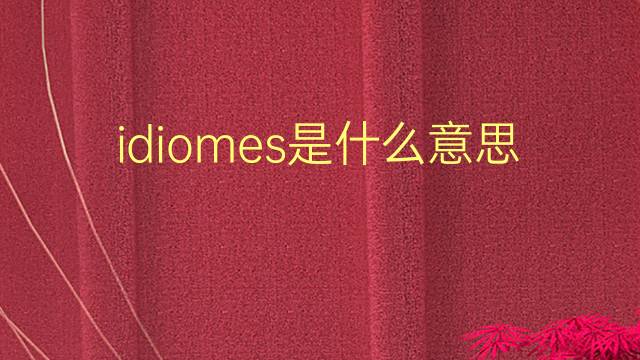 idiomes是什么意思 idiomes的翻译、读音、例句、中文解释