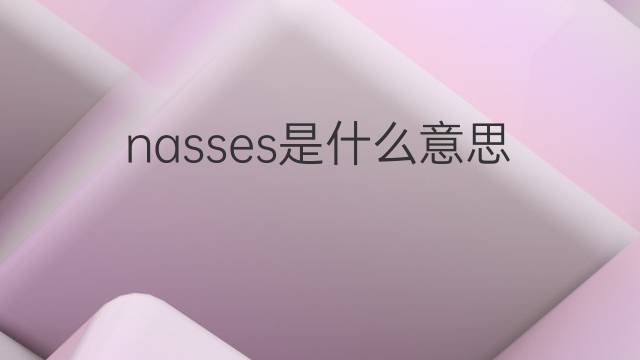 nasses是什么意思 nasses的翻译、读音、例句、中文解释