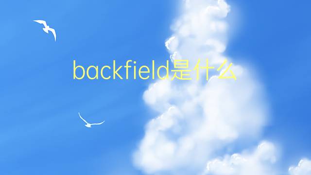 backfield是什么意思 backfield的翻译、读音、例句、中文解释