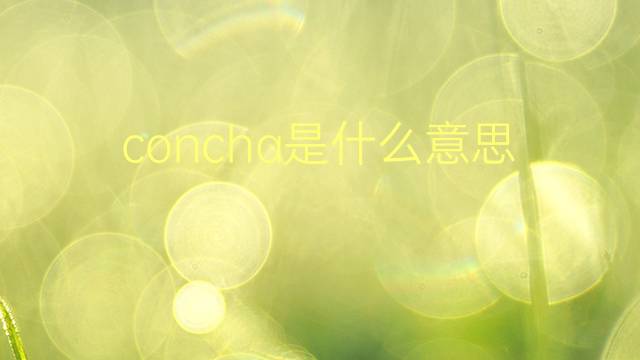 concha是什么意思 concha的翻译、读音、例句、中文解释