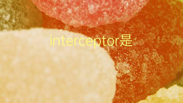 interceptor是什么意思 interceptor的翻译、读音、例句、中文解释