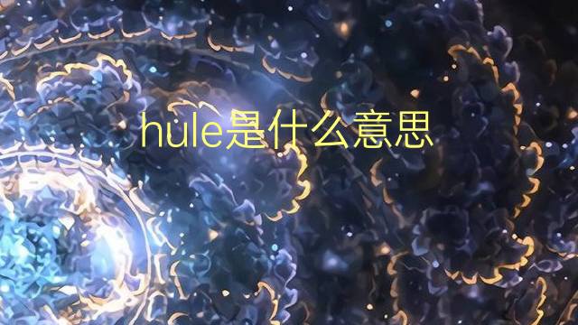 hule是什么意思 hule的翻译、读音、例句、中文解释