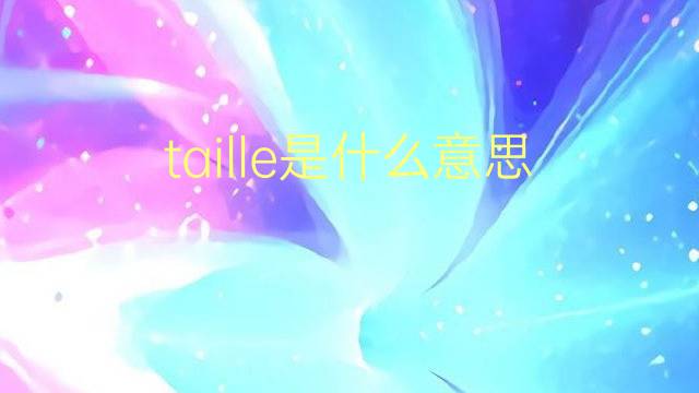 taille是什么意思 taille的翻译、读音、例句、中文解释