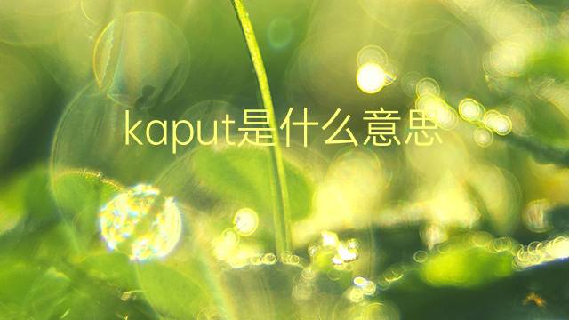 kaput是什么意思 kaput的翻译、读音、例句、中文解释