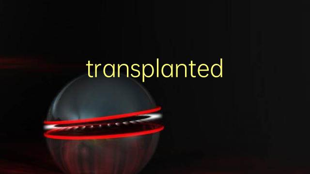 transplanted是什么意思 transplanted的翻译、读音、例句、中文解释