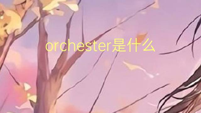 orchester是什么意思 orchester的翻译、读音、例句、中文解释