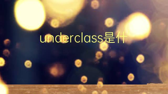 underclass是什么意思 underclass的翻译、读音、例句、中文解释