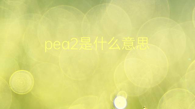 pea2是什么意思 pea2的翻译、读音、例句、中文解释