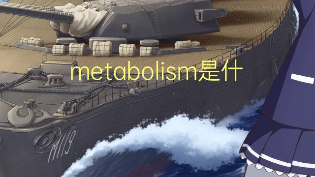 metabolism是什么意思 metabolism的翻译、读音、例句、中文解释