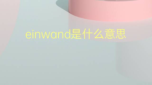 einwand是什么意思 einwand的翻译、读音、例句、中文解释