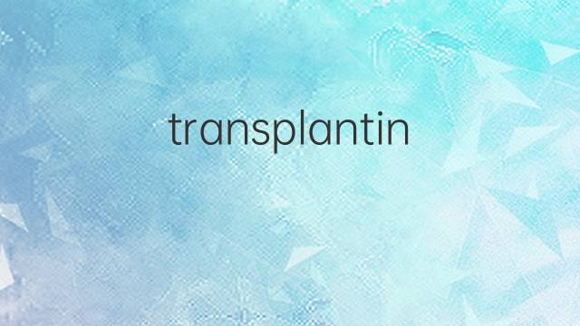 transplanting是什么意思 transplanting的翻译、读音、例句、中文解释