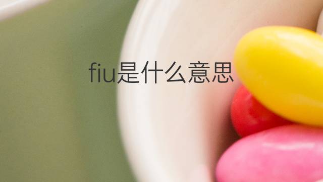 fiu是什么意思 fiu的翻译、读音、例句、中文解释