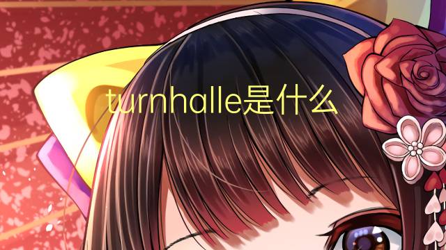 turnhalle是什么意思 turnhalle的翻译、读音、例句、中文解释