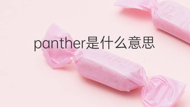 panther是什么意思 panther的翻译、读音、例句、中文解释