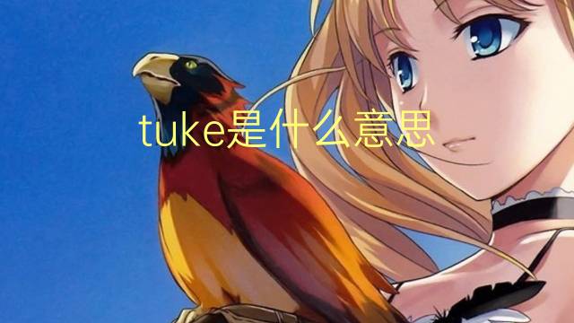 tuke是什么意思 英文名tuke的翻译、发音、来源