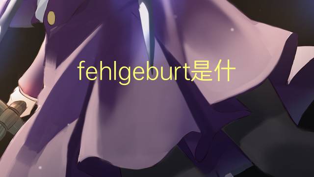 fehlgeburt是什么意思 fehlgeburt的翻译、读音、例句、中文解释