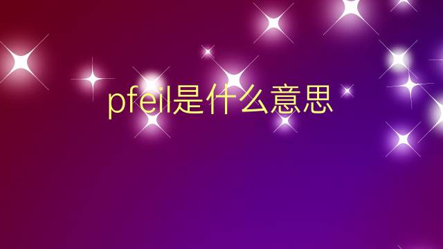 pfeil是什么意思 pfeil的翻译、读音、例句、中文解释