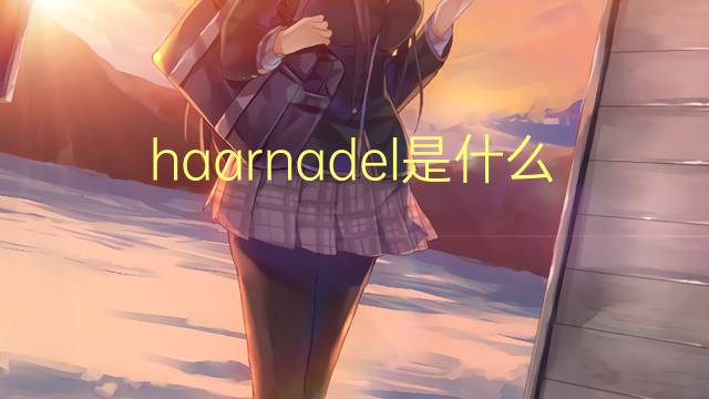 haarnadel是什么意思 haarnadel的翻译、读音、例句、中文解释