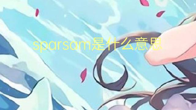 sparsam是什么意思 sparsam的翻译、读音、例句、中文解释