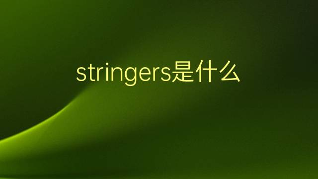 stringers是什么意思 stringers的翻译、读音、例句、中文解释