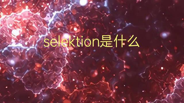 selektion是什么意思 selektion的翻译、读音、例句、中文解释