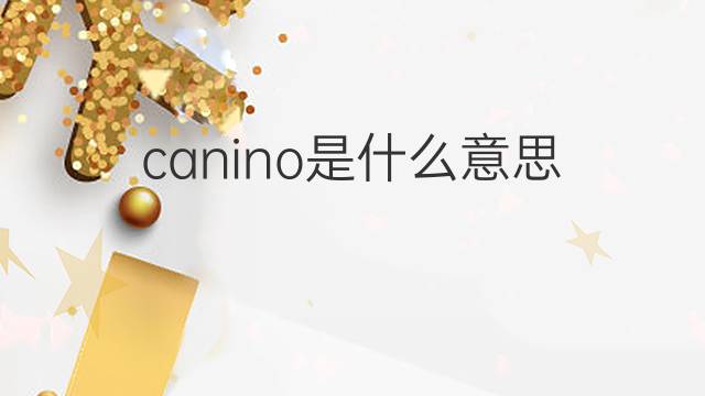 canino是什么意思 canino的翻译、读音、例句、中文解释