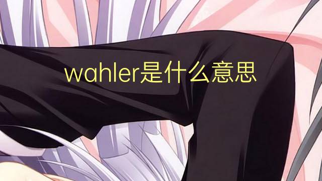 wahler是什么意思 wahler的翻译、读音、例句、中文解释