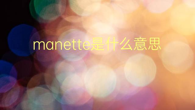 manette是什么意思 manette的翻译、读音、例句、中文解释