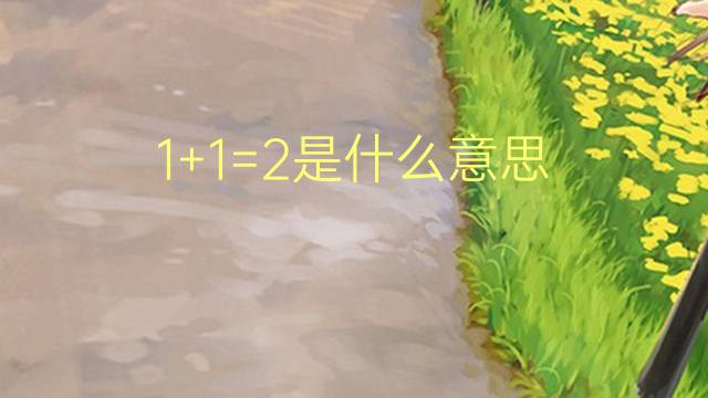 1+1=2是什么意思 1+1=2的翻译、读音、例句、中文解释