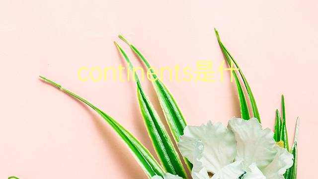 continents是什么意思 continents的翻译、读音、例句、中文解释