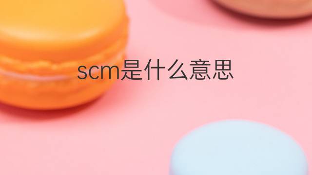 scm是什么意思 scm的翻译、读音、例句、中文解释