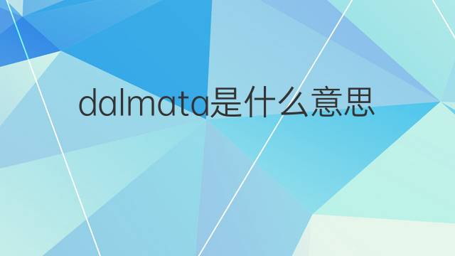 dalmata是什么意思 dalmata的翻译、读音、例句、中文解释