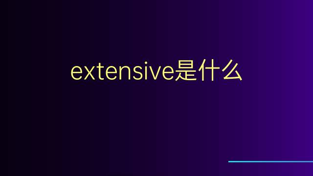 extensive是什么意思 extensive的翻译、读音、例句、中文解释