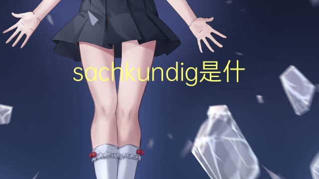 sachkundig是什么意思 sachkundig的翻译、读音、例句、中文解释