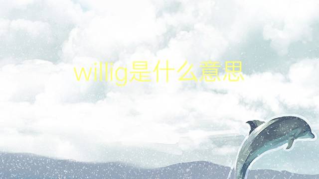 willig是什么意思 willig的翻译、读音、例句、中文解释